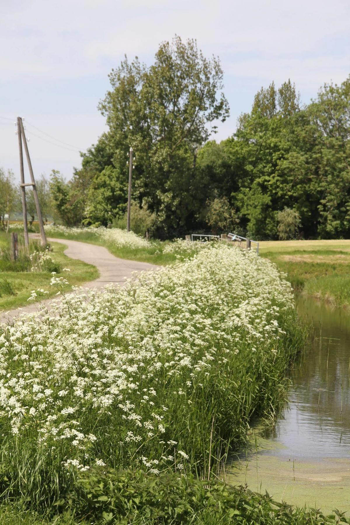 Countryside Eco Natuurhuisjes Ee Exterior photo